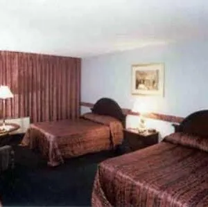 Hotel Golden Palm